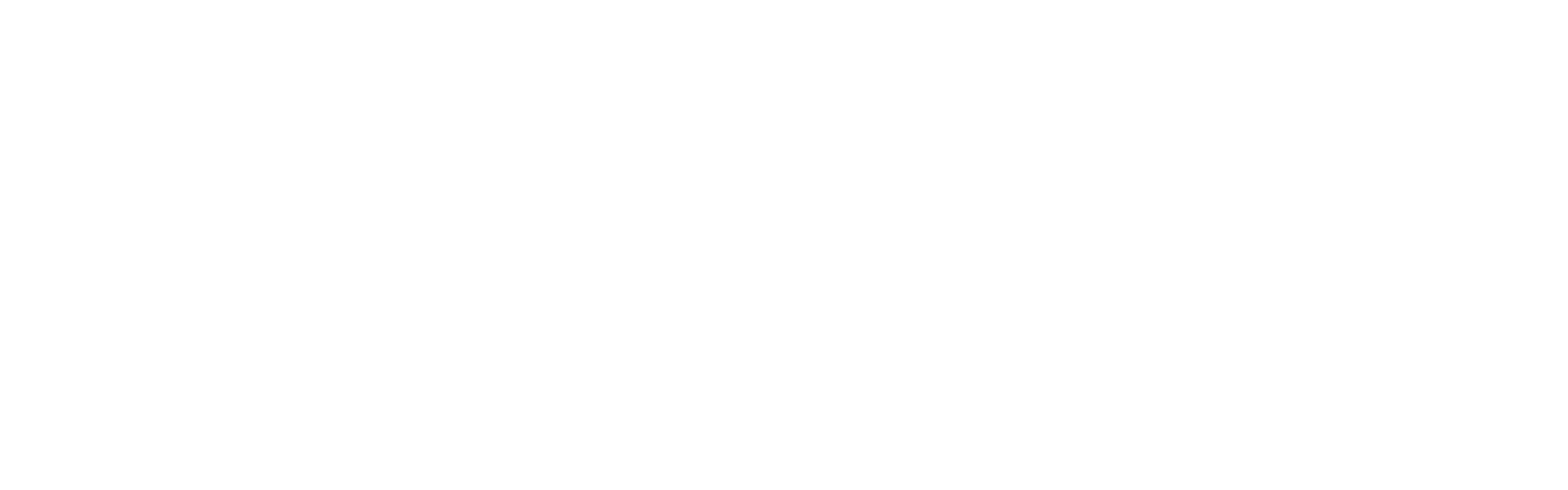 Slynx Technologies
